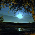 Full Moon